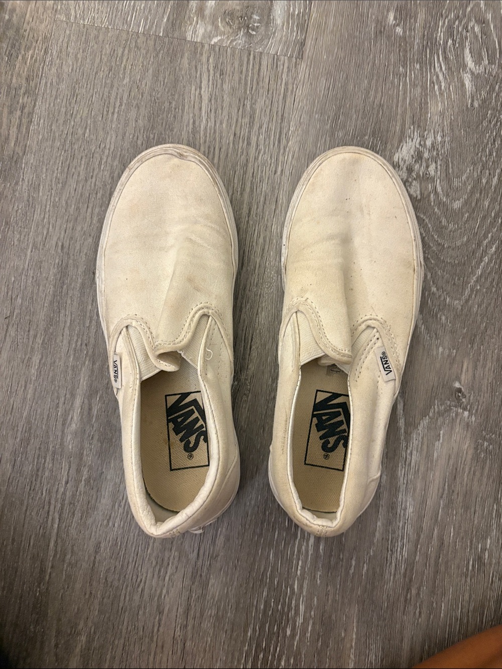 Vans
